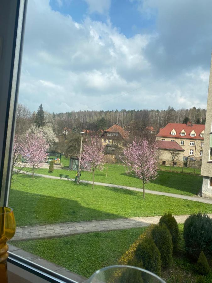 Apartament Centrum Apartment Polanica-Zdroj Bagian luar foto